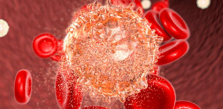 Identificado un mecanismo que explica por qué algunos pacientes de cáncer tratados con éxito desarrollan leucemia años después.