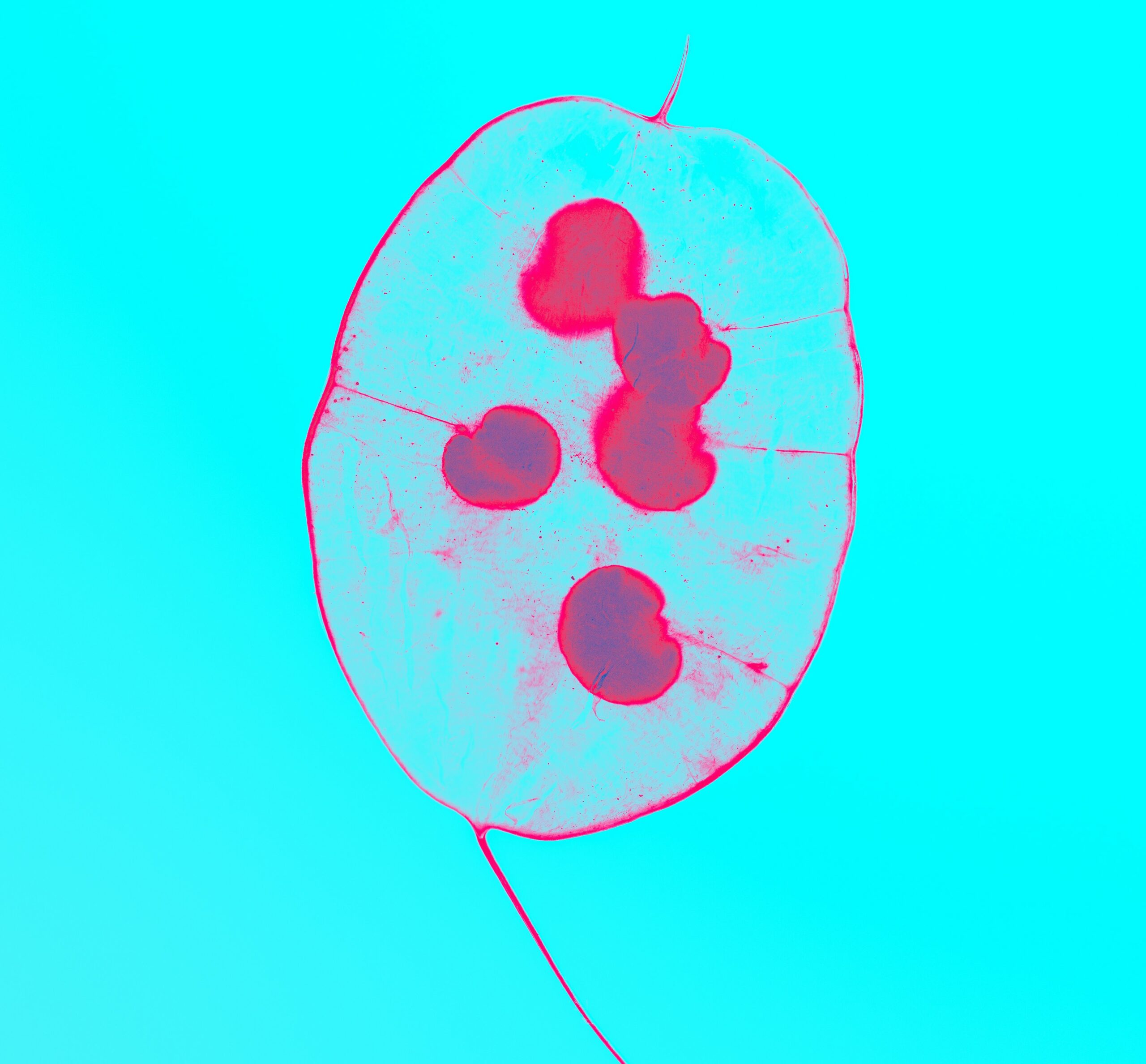 marek-piwnicki-CVSrrJX9pGE-unsplash (1) copia